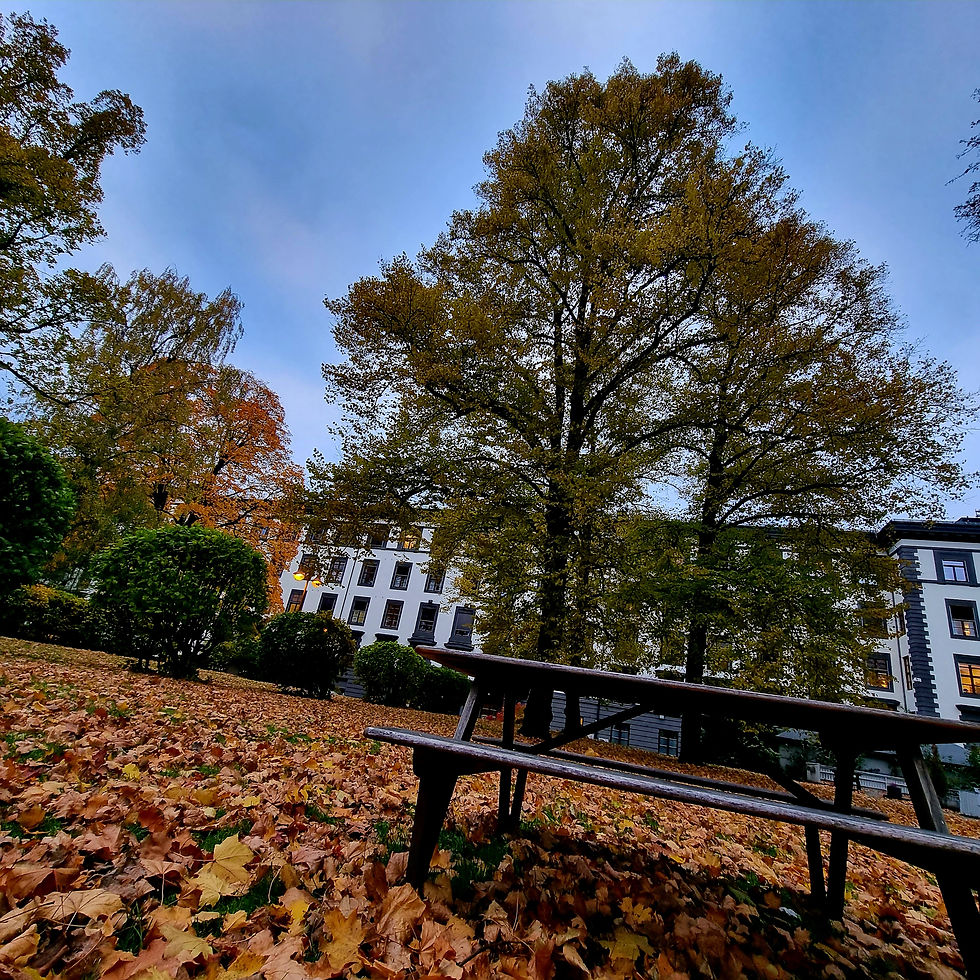 Bilde tatt i Oslo på høsten