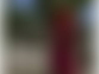 Womenstuff hunt September 2015 Maci ~ Miranda Dress in Wine