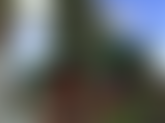 RFL Medieval Fair: blogging