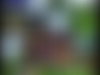 RFL Medieval Fair: last day Review