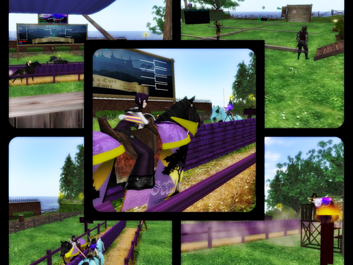 RFL Medieval Fair: last day Review