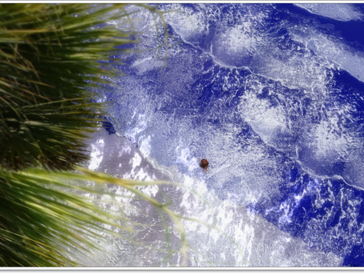 Wochenbild September 2 2015
Picture of the week September 2 2015