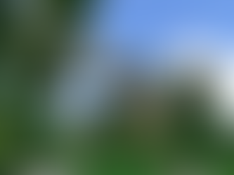 Last Blog for RYL for Medieval Fantasy Fair