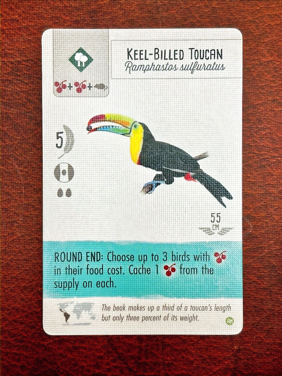 a Wingspan Americas Expansion card, Keel-billed Toucan