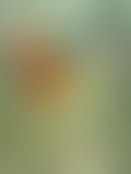 Zugunruhe, and the Rite of Sending Your Kid Off to College