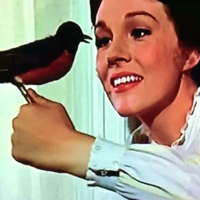 Counterfeit Birds: Mishaps of Birding at the Movies