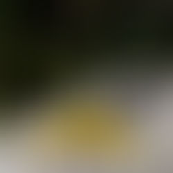 He Will Know Them By Their Feet