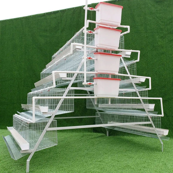 128birds Capacity Layers Cage
