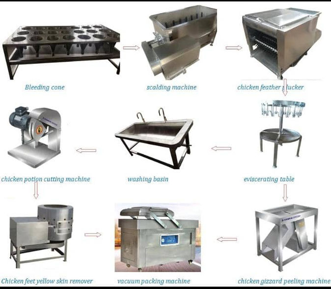 Complete Chicken Processing Machine
