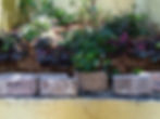 SF Secret Garden