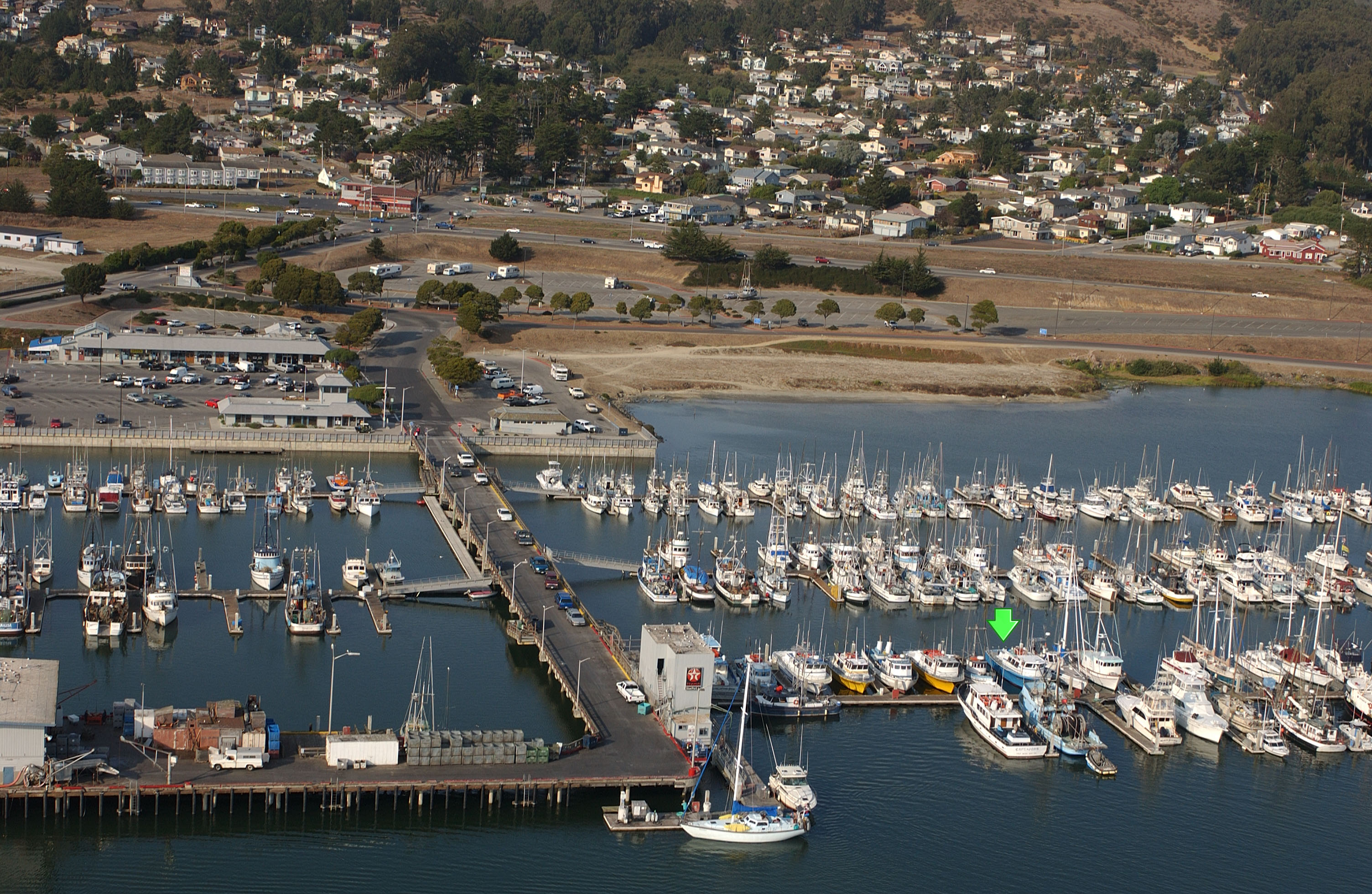 Pillar Point Harbor Half Moon Bay Huli Cat