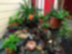 SF Secret Garden
