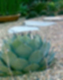 EL GRANADA GARDEN