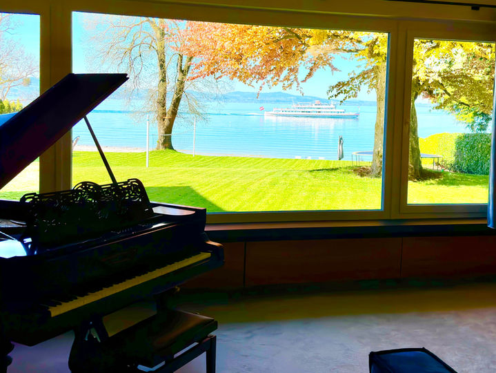 Flügel mit Panoramablick auf den Bodensee.jpg