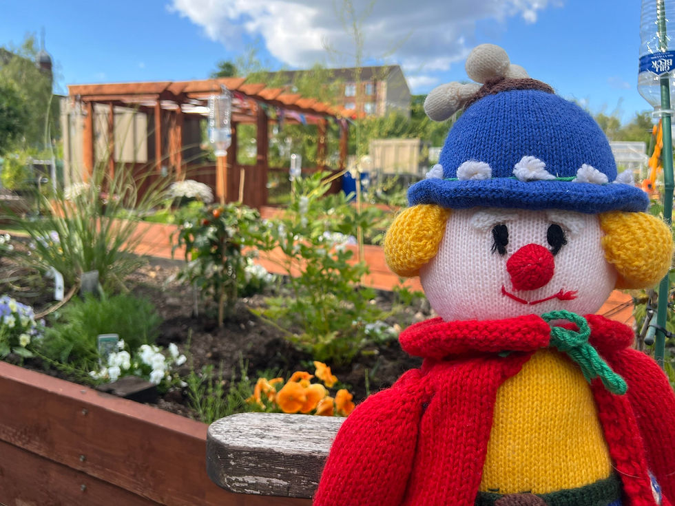 Sensory Garden & Wellbeing Allotment