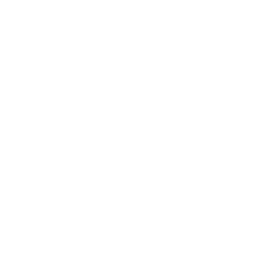 Cheese wedge