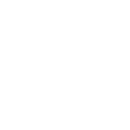 Slice of cake with cherry
