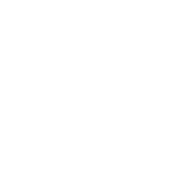 Fork and plate icon