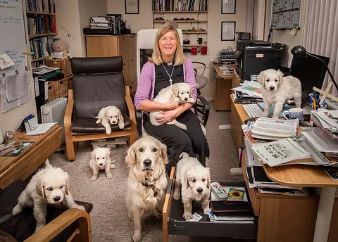 Townsend Barn Nursery Welcome