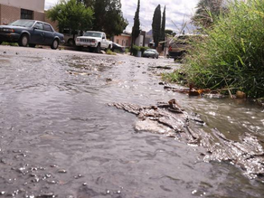 Se desperdicia agua en la colonia Granjas