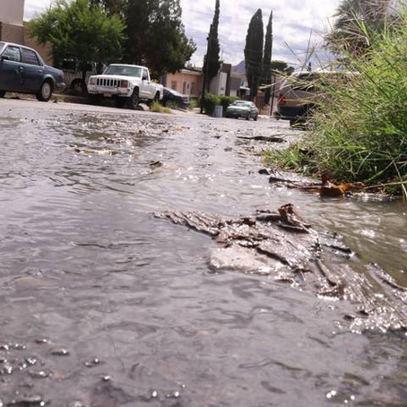 Se desperdicia agua en la colonia Granjas