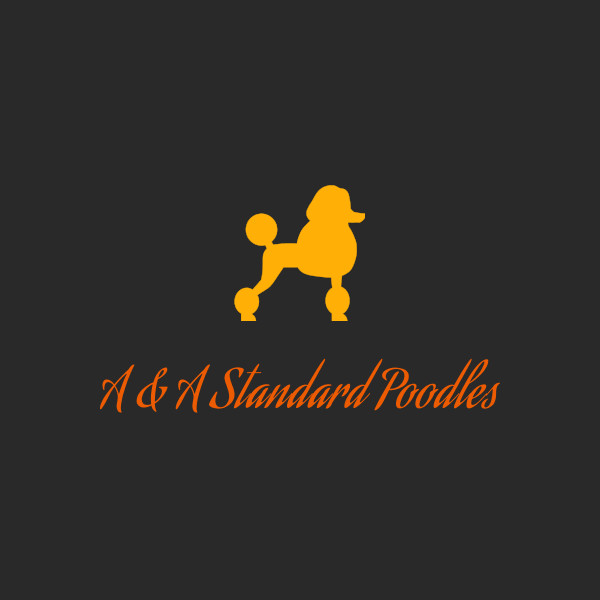 Apms Paws Adoption Process | A&APSP PAWS