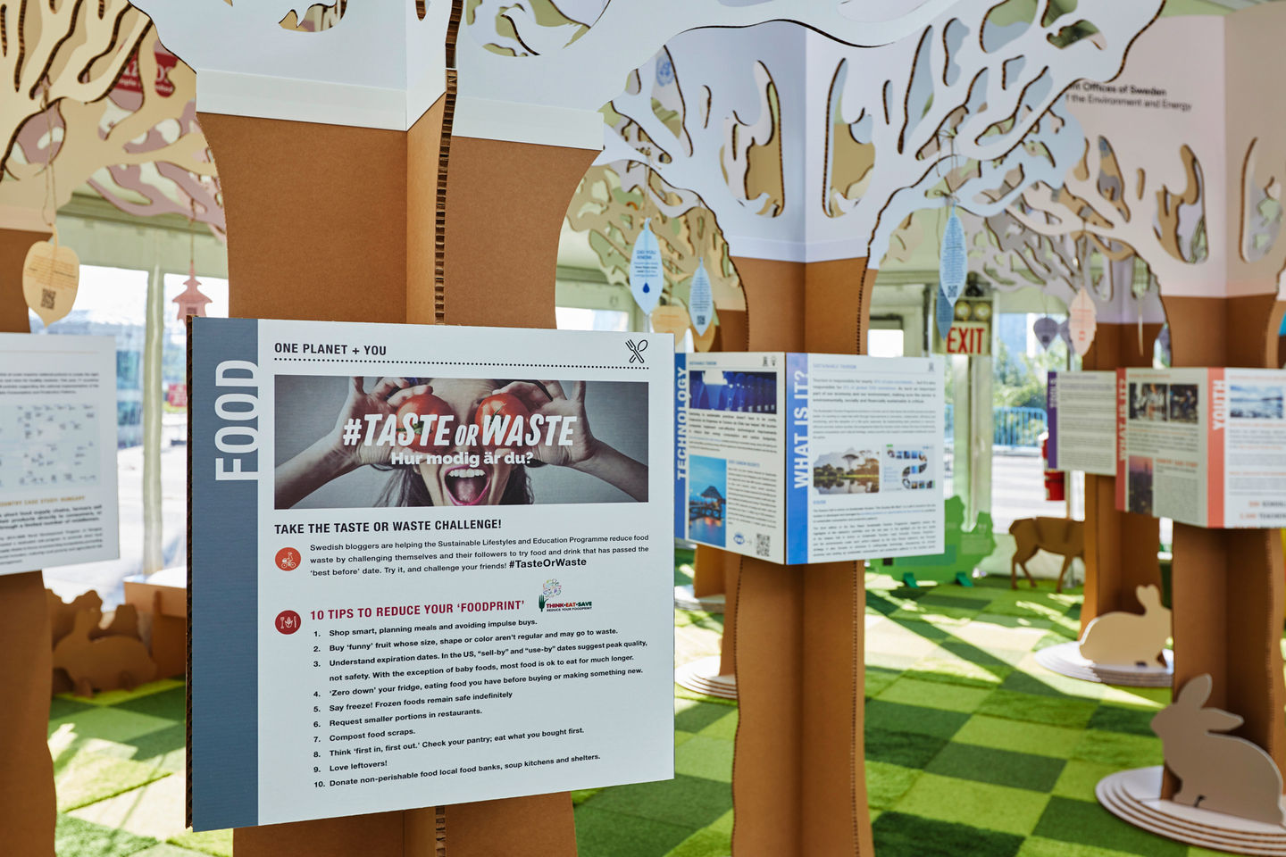 This is Lester UN Website Edit15.jpg