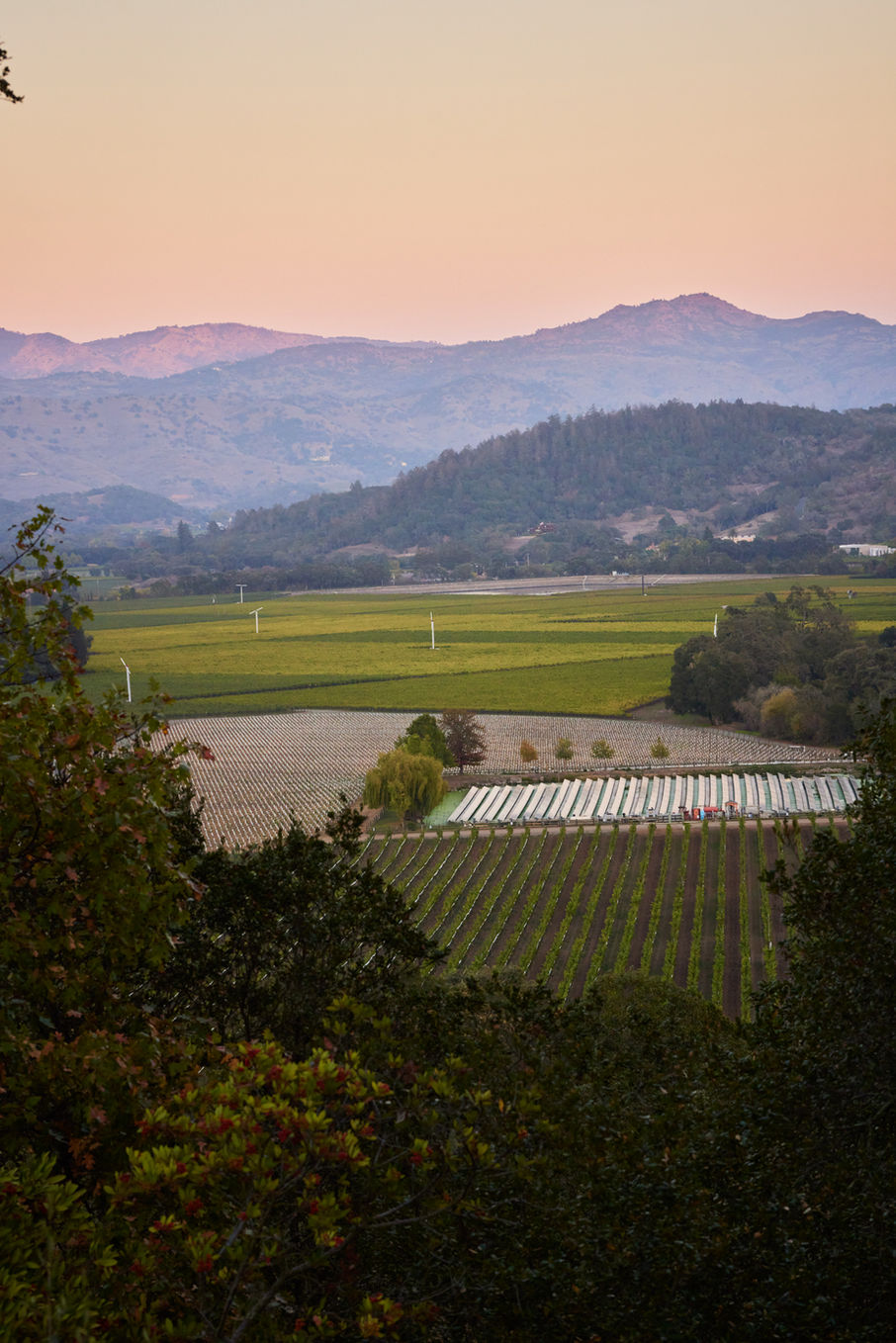 This is Lester RH Website Edit19.JPG