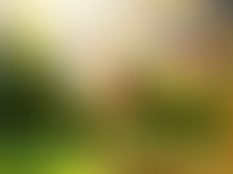 Les Croyances Limitantes : Comment Elles Nous Retiennent et Comment Nous En Libérer