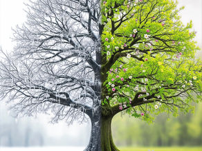 Les cycles naturels de la vie : Accueillir la force de l’hiver intérieur pour mieux rayonner