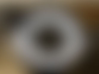 L’Éloge de la Décision Lente : Quand la Vie Se Goûte à Petits Pas