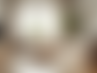 Explore Customised Home Cleaning Plans for Your Hibiscus Coast Home