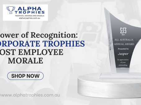 The Power of Recognition: How Corporate Trophies Boost Employee Morale
