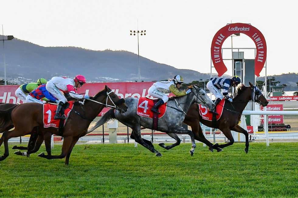 Brazen Impact wins Race 9 for Glenn Stevenson and Craig Newitt-213.jpg