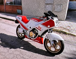 PHOTO-2023-01-25-20-51-49_1