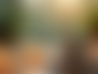 The Importance of Mindfulness in Everyday Life