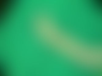 Find Quality Screen Mesh in Bulk for Your Printing Needs