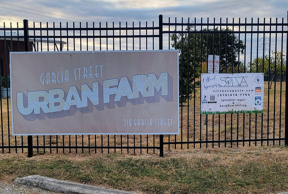Urban Farm