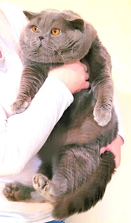 20220420_165908(0) (1)_edited.jpg