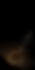 watch.png