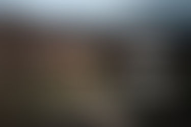 TADOBA - UNCERTAIN SURPRISES IN COVID TIMES