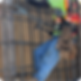 image3.png