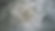 Marble Surface_edited.jpg