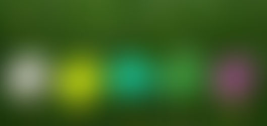 Ambiguitätskompetenz: Ins Ungewisse entscheiden