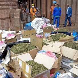 SERNIC apreende drogas no valor de 126 milhões de meticais em 2022