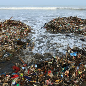 Ministério da terra e ambiente trabalha para a resiliência climática no país
