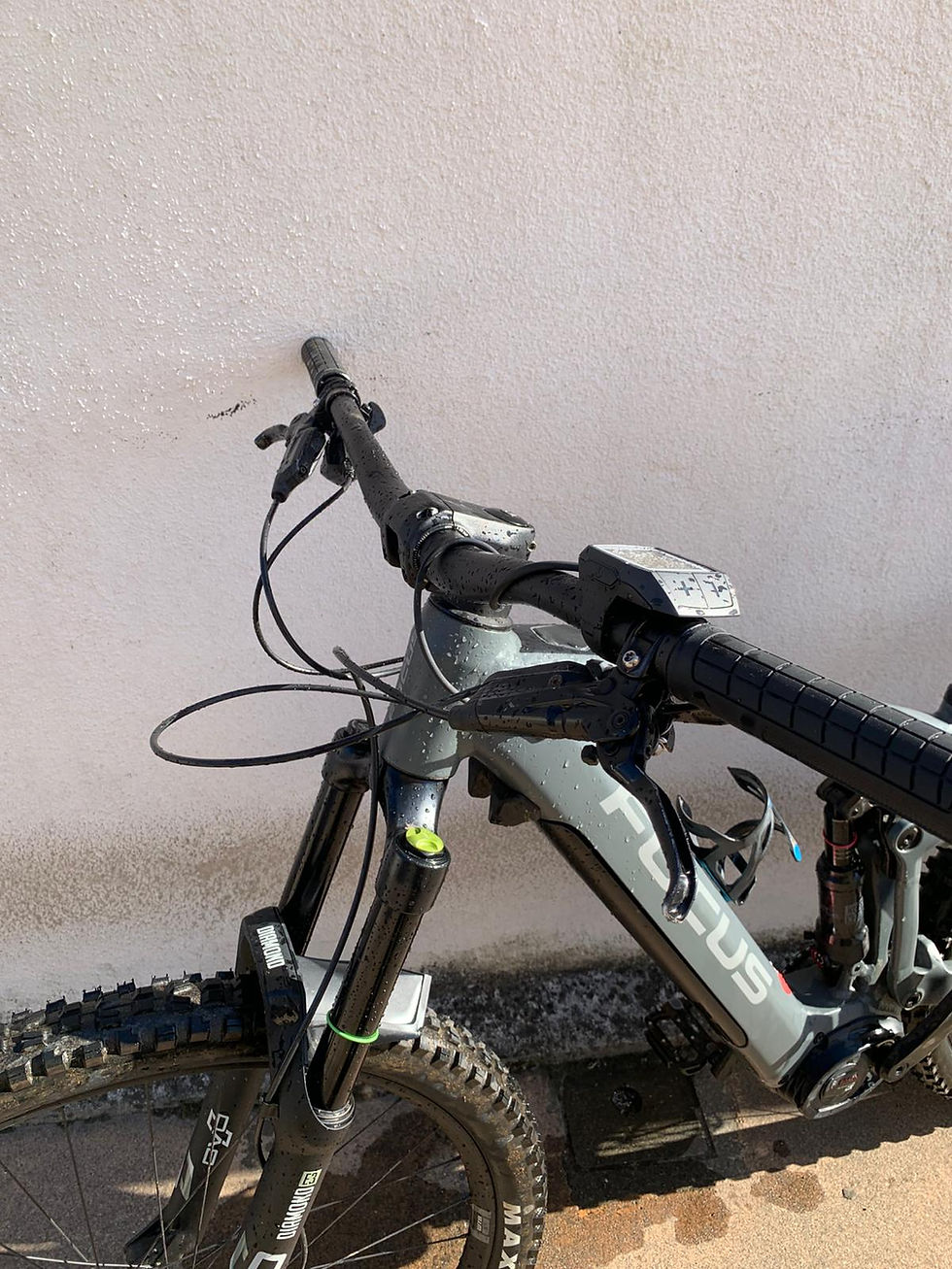 Miniatura: Focus Sam 2022