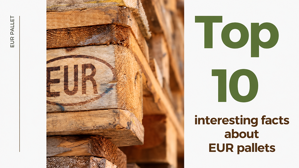 Top 10 Interesting Facts About EUR Pallets