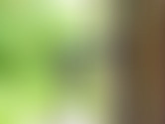 Miért akad a többpontos ajtózár? – gyakori hibák