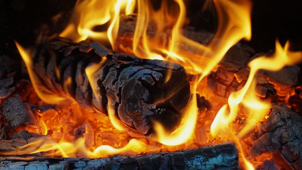Téli tüzelő beszerzése: miért érdemes időben felkészülni?